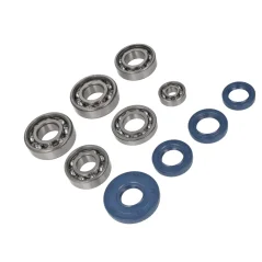 SKF bearing and engine seal kit (MZA) - Simson