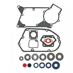 SKF Bearing, LYO Oil Seal, Gasket and Sealing Plug Set (MZA) – Simson (M500–M700 Engine)