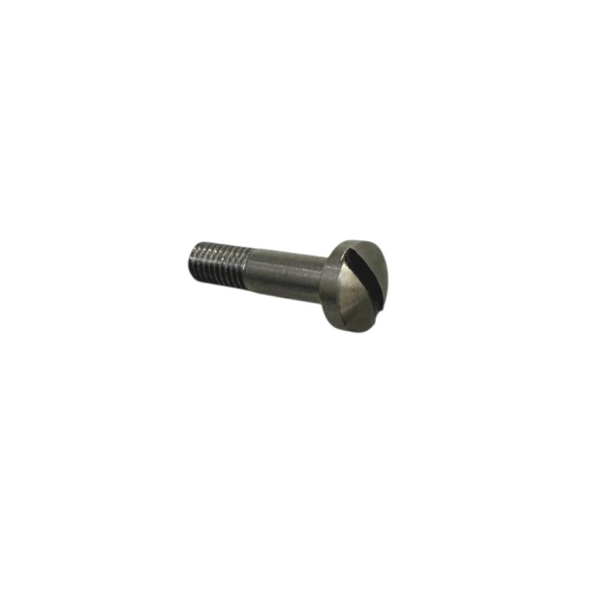 Screw of handlebar lever M5x20 - stainless steel