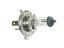 Bulb H4 6V 35/35W (P43T) halogen