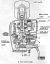 Bearing 6004 C3 (ZVL)
