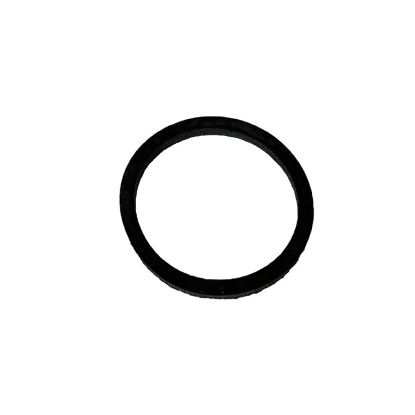 Dichtung der Schwimmerkammer - S11