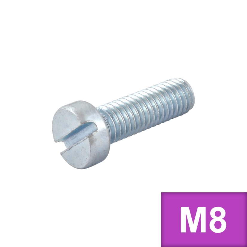 Šroub VH - drážka M8 x 45 (DIN 84) Zn