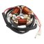 Magnetzündungsstator, KLADÍVKO 6V (AKA) - Simson S51, S70, SR50