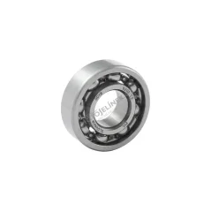 Lager 6202 C3 (ZVL)